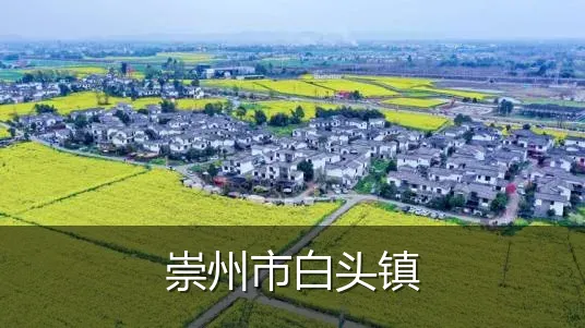 崇州市白头镇